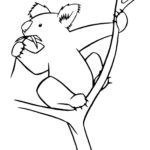 Raskrasil.com-Coloring-Pages-Koala-58