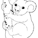 Raskrasil.com-Coloring-Pages-Koala-71