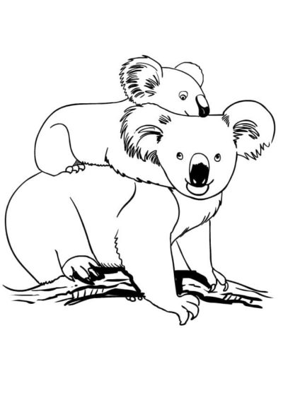 Ausmalbilder Koala | 100 Malvorlagen Kostenlos zum Ausdrucken