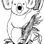 Raskrasil.com-Coloring-Pages-Koala-89