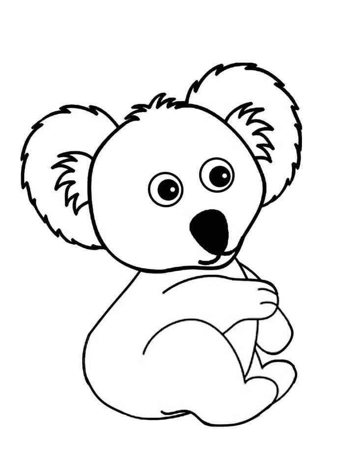Koala Coloring Pages | 100 Pictures Free Printable