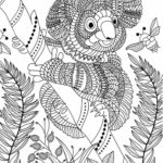 Raskrasil.com-Coloring-Pages-Koala-92