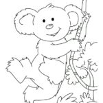 Raskrasil.com-Coloring-Pages-Koala-94