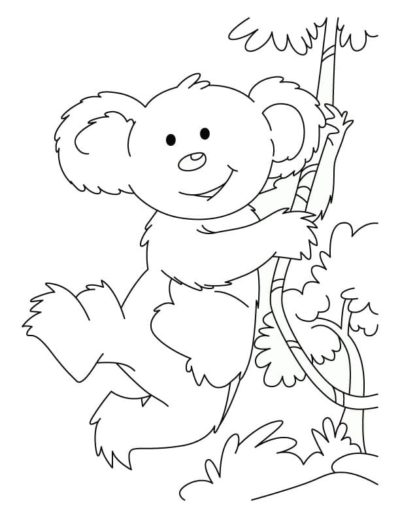 Koala Coloring Pages | 100 Pictures Free Printable