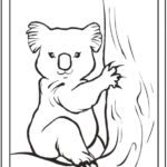 Raskrasil.com-Coloring-Pages-Koala-95