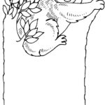 Raskrasil.com-Coloring-Pages-Koala-96