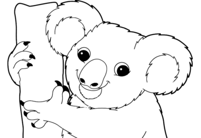 Раскраски Коала - Скачать или Распечатать бесплатно
