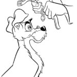 Raskrasil.com-Coloring-Pages-Lady-And-The-Tramp-11