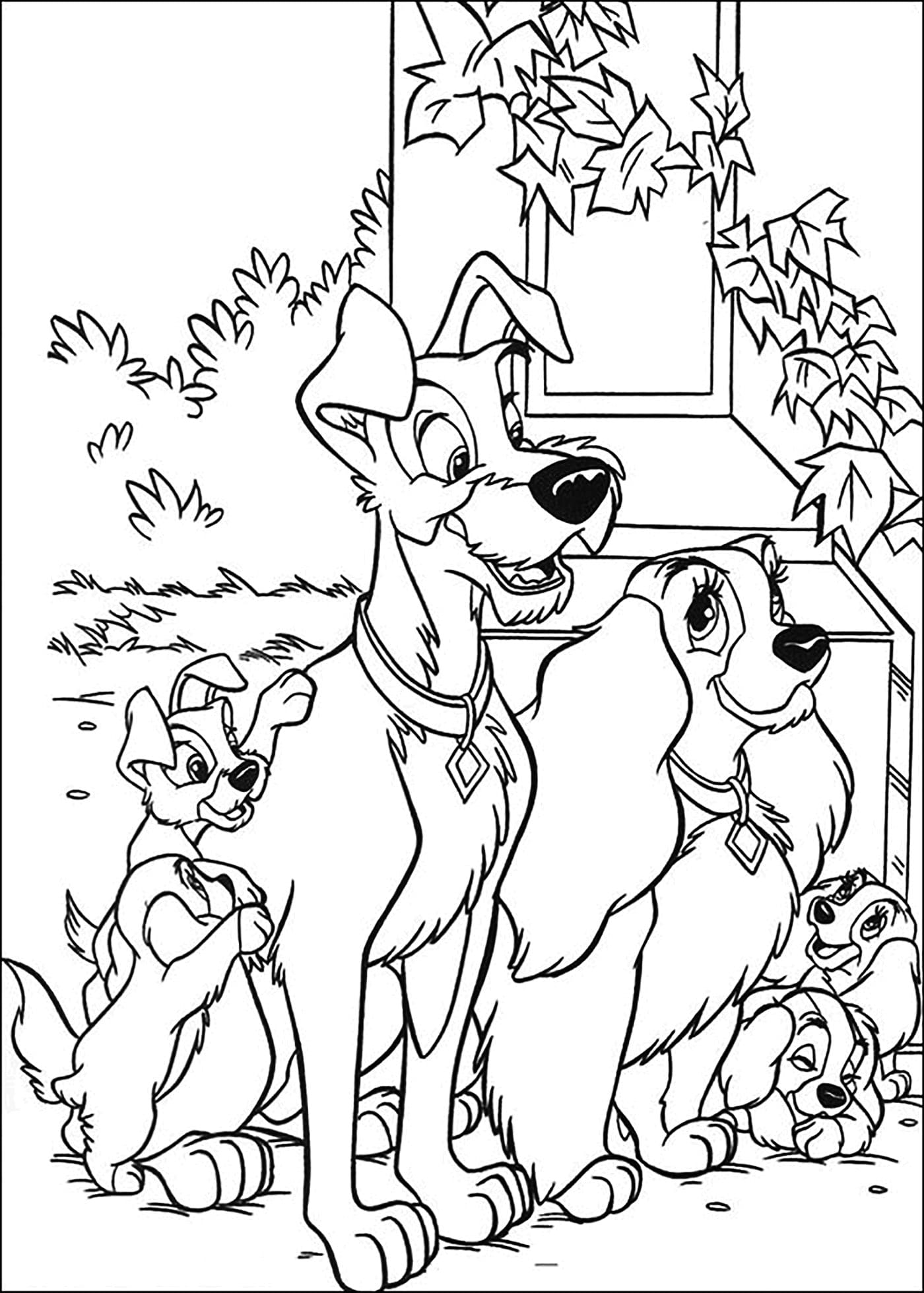 Raskrasil.com-Coloring-Pages-Lady-And-The-Tramp-14