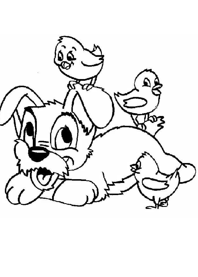 Raskrasil.com-Coloring-Pages-Lady-And-The-Tramp-29