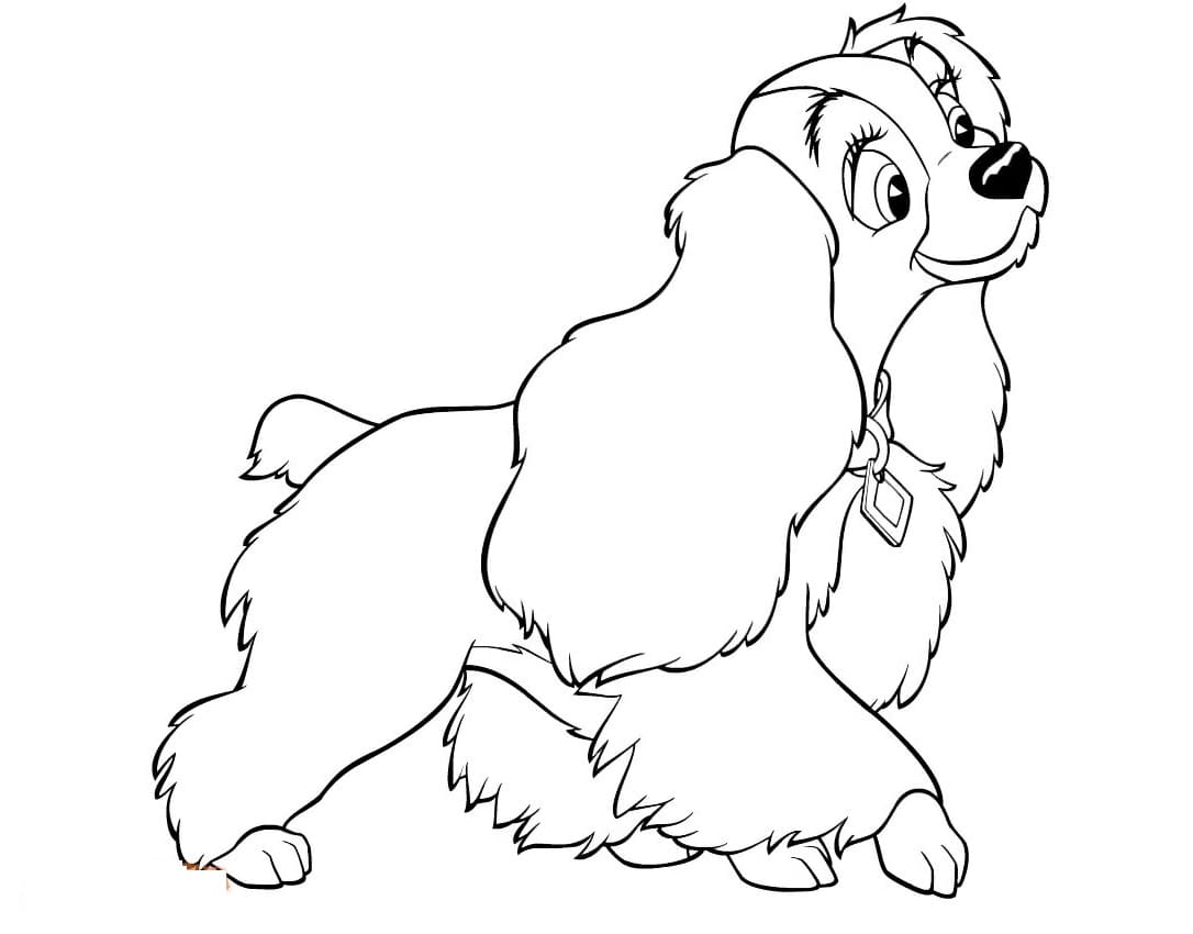 Raskrasil.com-Coloring-Pages-Lady-And-The-Tramp-41