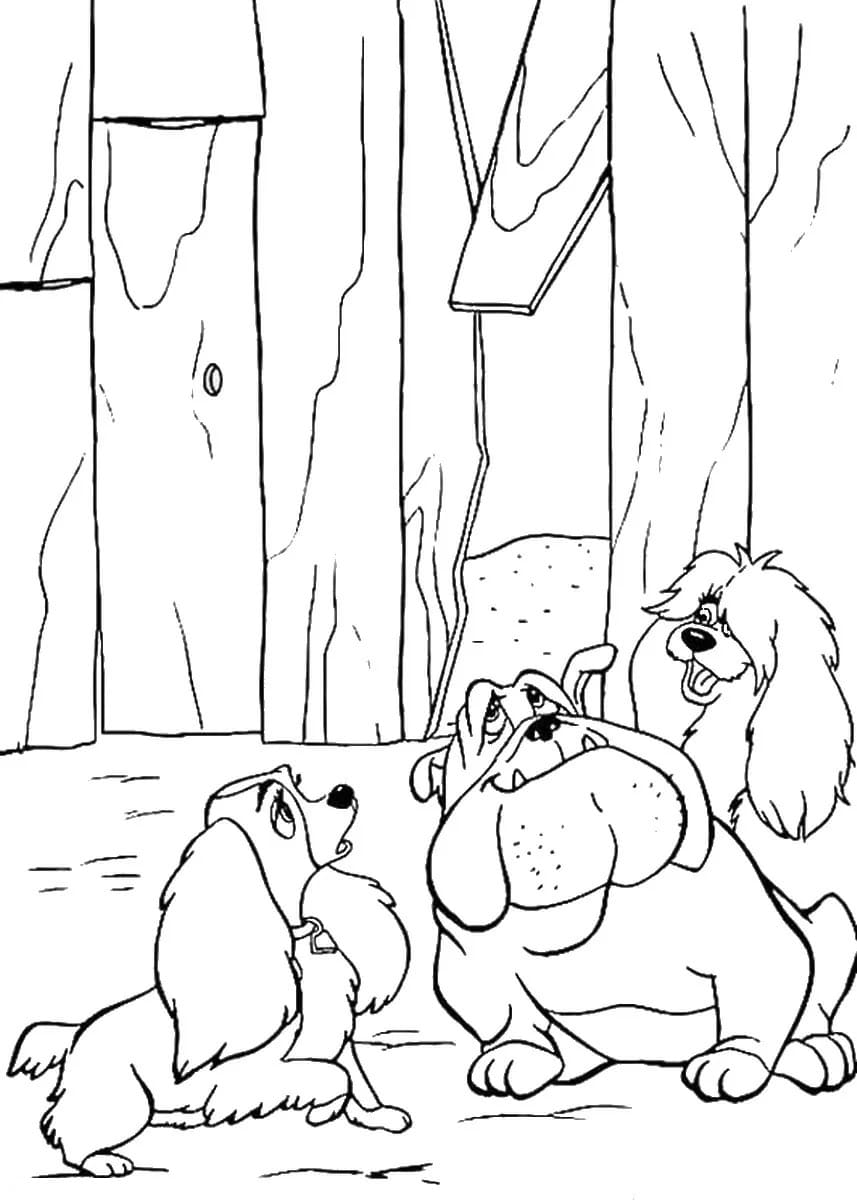 Raskrasil.com-Coloring-Pages-Lady-And-The-Tramp-61