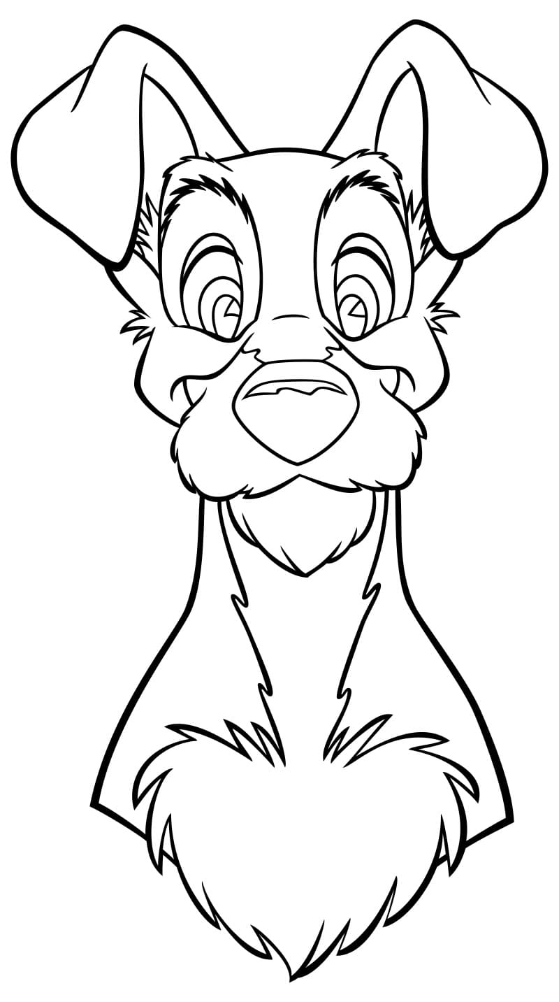 Raskrasil.com-Coloring-Pages-Lady-And-The-Tramp-62