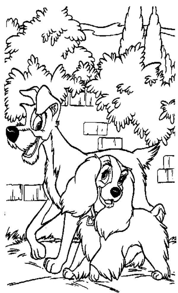 Raskrasil.com-Coloring-Pages-Lady-And-The-Tramp-67