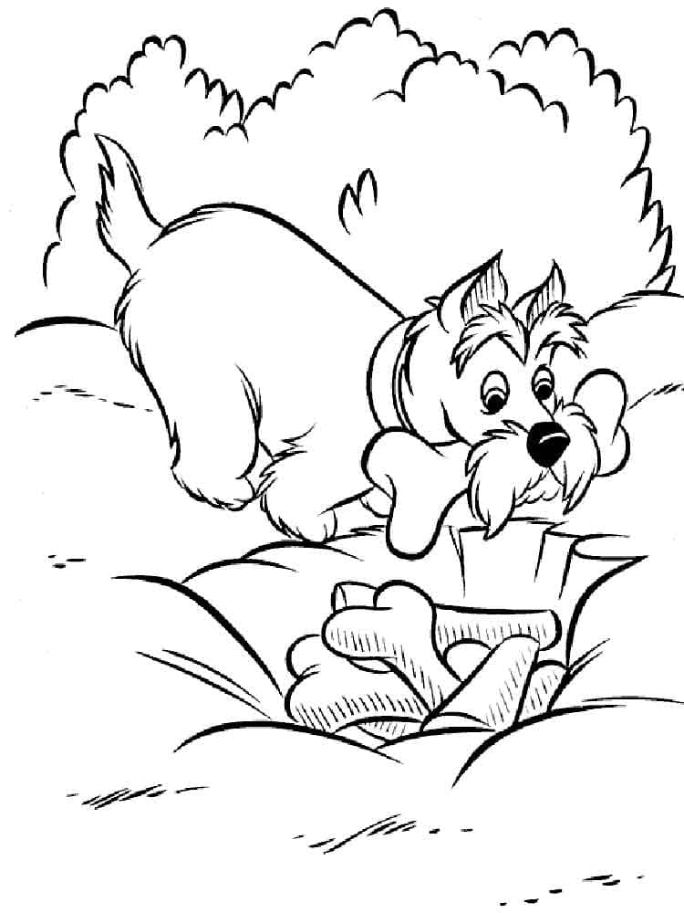 Raskrasil.com-Coloring-Pages-Lady-And-The-Tramp-73