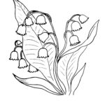 Raskrasil.com-Coloring-Pages-Lily-of-the-Valley-10