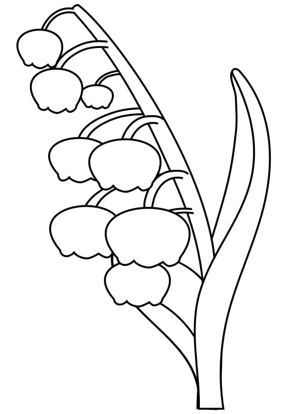 Raskrasil.com-Coloring-Pages-Lily-of-the-Valley-100