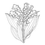 Raskrasil.com-Coloring-Pages-Lily-of-the-Valley-104
