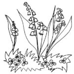Raskrasil.com-Coloring-Pages-Lily-of-the-Valley-13
