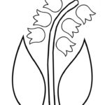 Raskrasil.com-Coloring-Pages-Lily-of-the-Valley-15