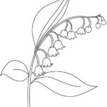 Raskrasil.com-Coloring-Pages-Lily-of-the-Valley-19