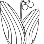 Raskrasil.com-Coloring-Pages-Lily-of-the-Valley-24