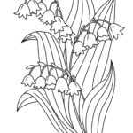 Raskrasil.com-Coloring-Pages-Lily-of-the-Valley-29