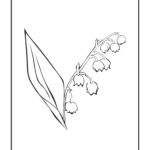 Raskrasil.com-Coloring-Pages-Lily-of-the-Valley-30