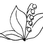 Raskrasil.com-Coloring-Pages-Lily-of-the-Valley-33
