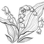 Raskrasil.com-Coloring-Pages-Lily-of-the-Valley-37