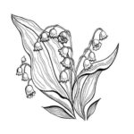 Raskrasil.com-Coloring-Pages-Lily-of-the-Valley-47
