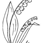 Previous Attachment