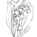 Raskrasil.com-Coloring-Pages-Lily-of-the-Valley-53