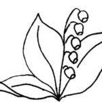 Raskrasil.com-Coloring-Pages-Lily-of-the-Valley-54