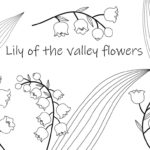 Raskrasil.com-Coloring-Pages-Lily-of-the-Valley-55