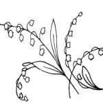 Raskrasil.com-Coloring-Pages-Lily-of-the-Valley-58
