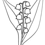 Raskrasil.com-Coloring-Pages-Lily-of-the-Valley-60