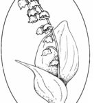 Raskrasil.com-Coloring-Pages-Lily-of-the-Valley-64