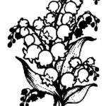Raskrasil.com-Coloring-Pages-Lily-of-the-Valley-69