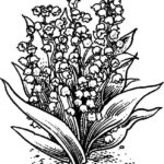 Previous Attachment
