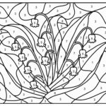 Raskrasil.com-Coloring-Pages-Lily-of-the-Valley-78