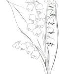 Raskrasil.com-Coloring-Pages-Lily-of-the-Valley-89