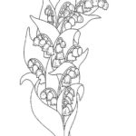 Raskrasil.com-Coloring-Pages-Lily-of-the-Valley-96
