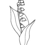 Raskrasil.com-Coloring-Pages-Lily-of-the-Valley-97