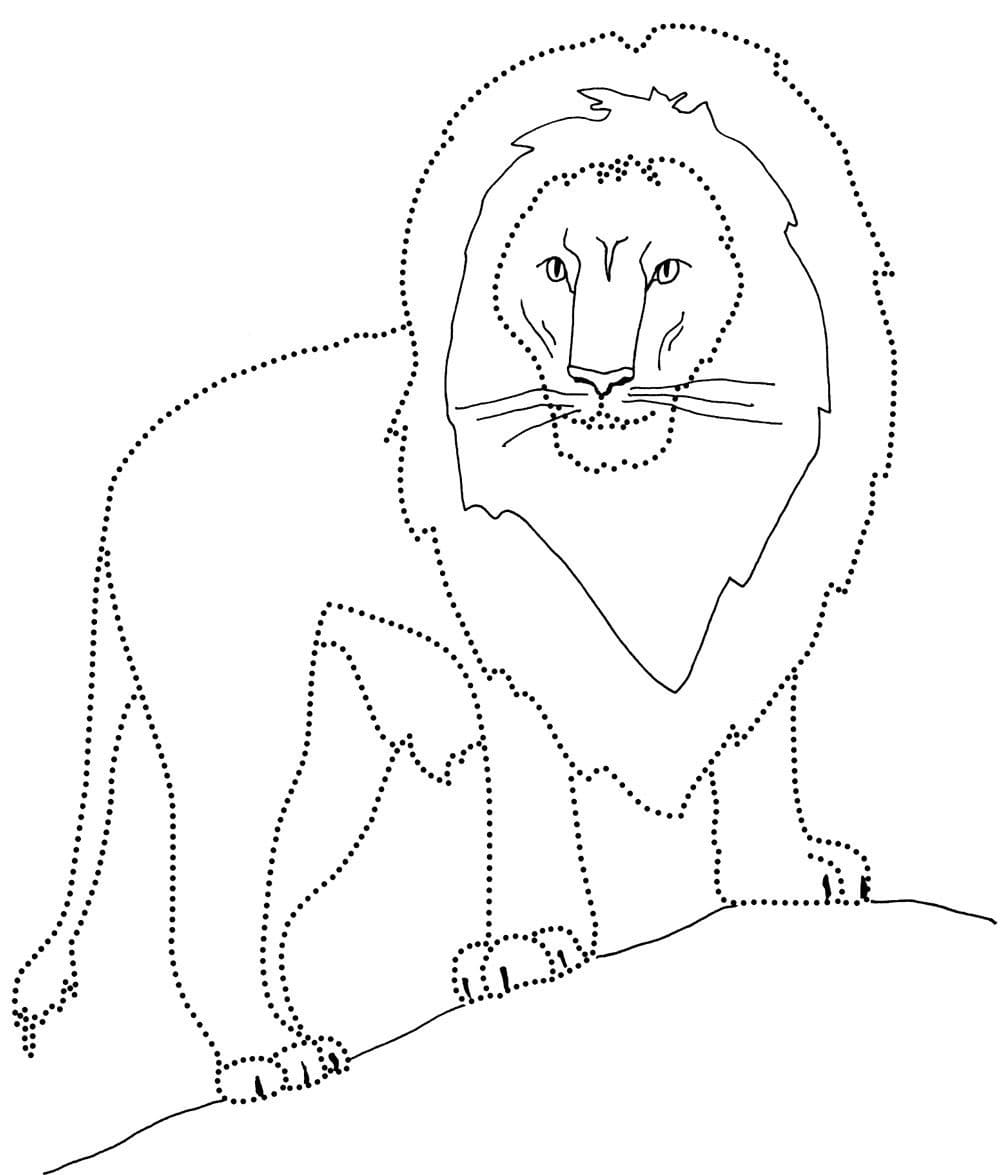 Raskrasil.com-Coloring-Pages-Lion-107