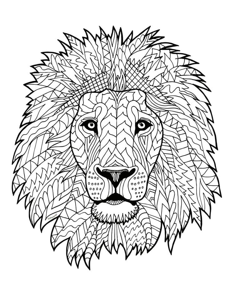 Raskrasil.com-Coloring-Pages-Lion-113