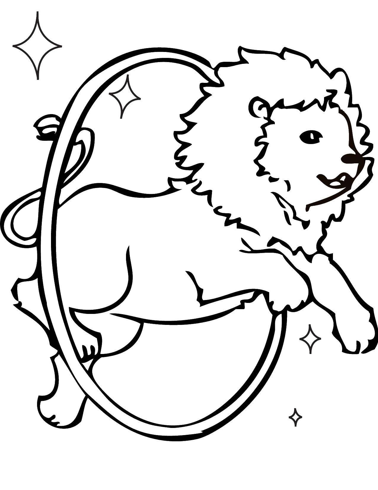 Raskrasil.com-Coloring-Pages-Lion-117