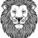 Raskrasil.com-Coloring-Pages-Lion-16