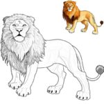 Raskrasil.com-Coloring-Pages-Lion-28