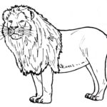 Previous Attachment